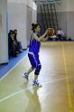 Basket 252024
